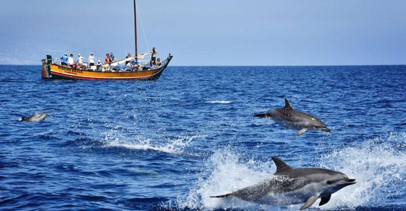 Madeira: Whale Watching Excursion in a Traditional Vessel - What Makes This Tour Stand Out