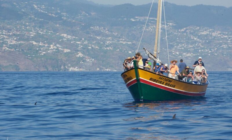 Madeira: Whale Watching Excursion in a Traditional Vessel - Final Thoughts