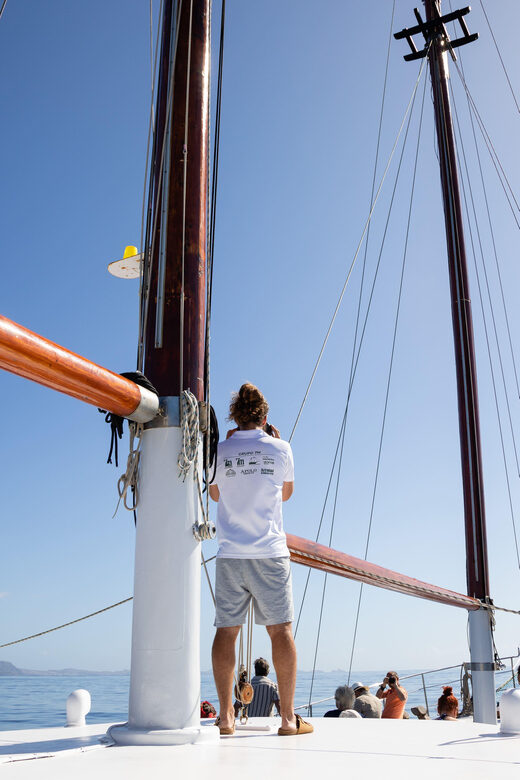 Madeira : Whales and Dolphins wooden boat excursion - Why This Tour Is a Solid Choice