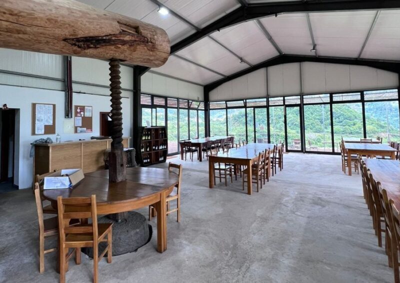 Madeira: Wine Tasting Guided Tour, Jeep Safari, & Viewpoints - The Practicalities & What’s Included