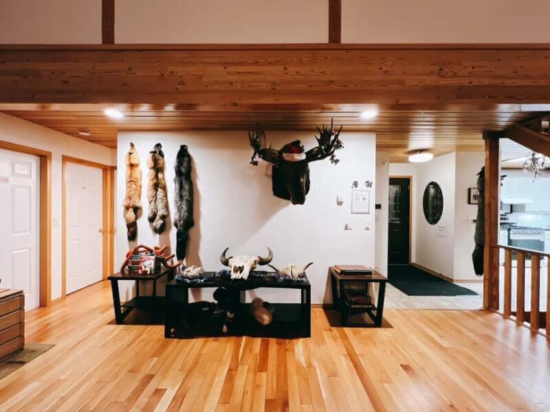 Madeline Lake: Aurora Lodge and Aurora Chasing Tour - Who Is This Tour Best For?