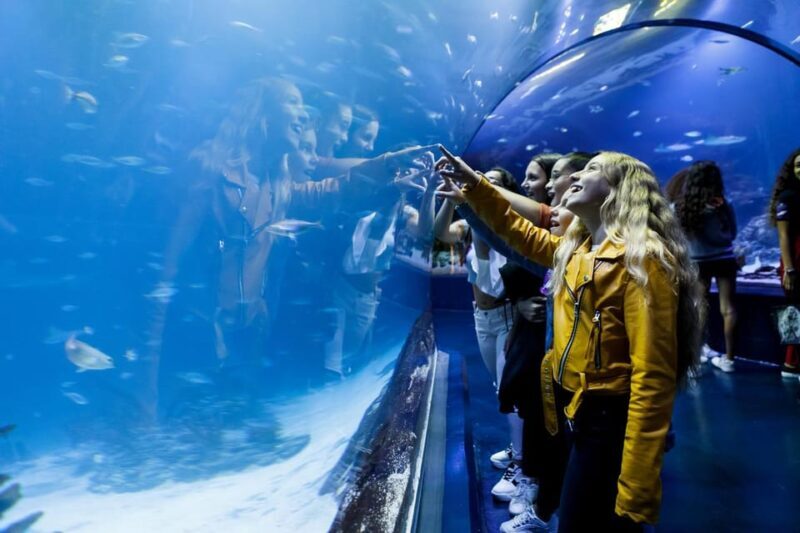 Madrid: Atlantis Aquarium Entry Ticket - Key Points