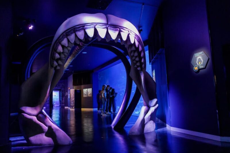 Madrid: Atlantis Aquarium Entry Ticket - The Sum Up