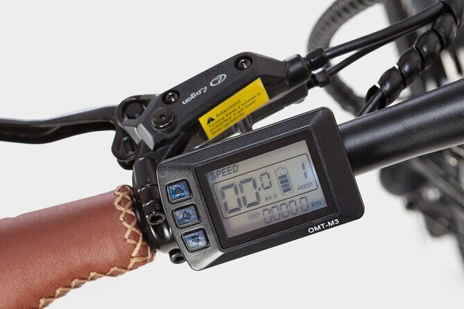 Madrid Central and Retiro Park E-bike Tour - A Close Look at the Tour Experience