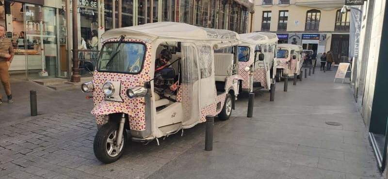 Madrid: City Tours - 6 seats private ecological tuk tuk - Final Thoughts