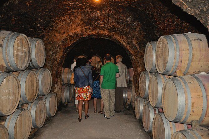 Madrid Countryside Wineries Guided Tour with Wine Tasting - Summary of Pros and Cons