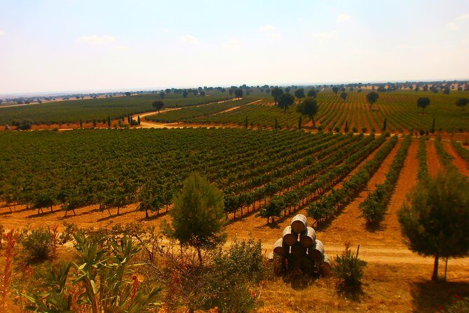 Madrid Countryside Wineries Guided Tour with Wine Tasting - Who Should Consider This Tour?