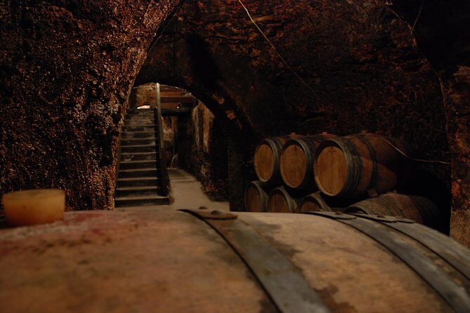 Madrid Countryside Wineries Guided Tour with Wine Tasting - Final Thoughts