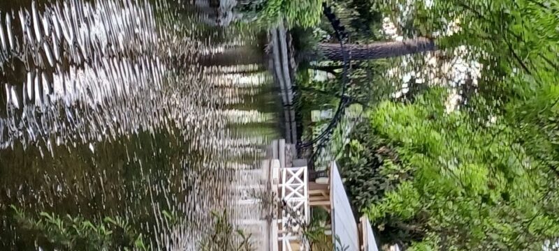 Madrid: El Capricho Park Tour - FAQ