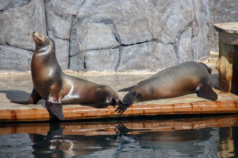 Madrid: Faunia Entry Ticket - What Makes Faunia a Unique Wildlife Experience in Madrid?