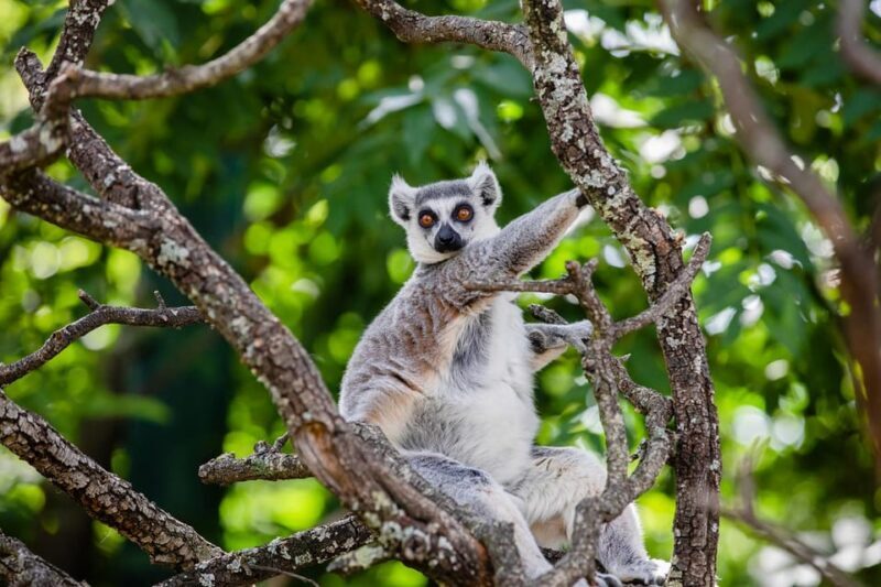 Madrid: Faunia Entry Ticket - Authentic Visitor Insights