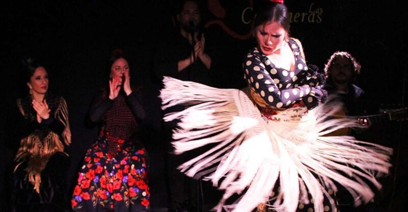 Madrid: Flamenco Show with Tapas and Wine Tour - Who Is This Tour Best For?