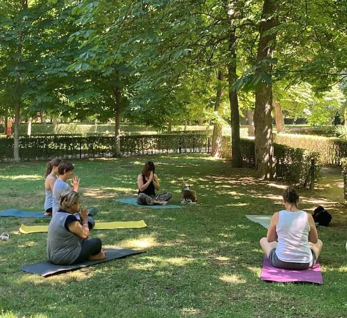 Madrid: Flow Yoga class in Retiro Park - Exploring the Experience in Detail