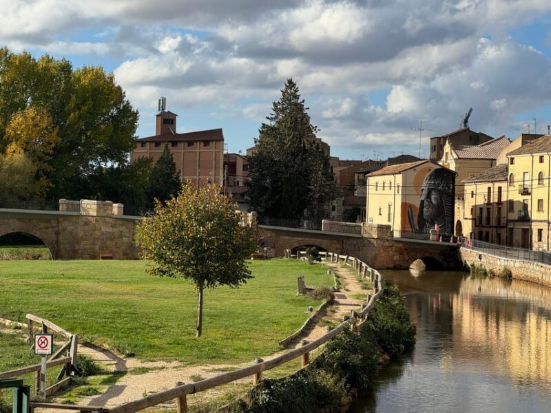 Madrid: Gormaz, Atienza and Jadraque the Castles of El Cid Campeador - Practical Details and What You’ll Experience