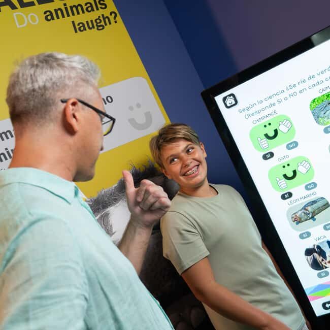 Madrid: Happiness Museum Interactive Experience Ticket - The Practical Details