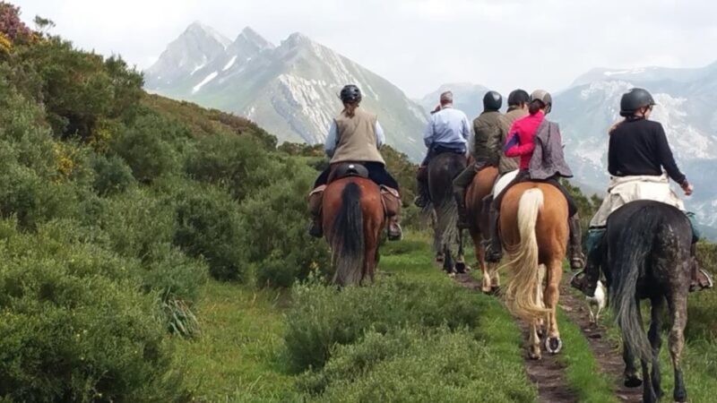 Madrid: Horse Riding in Sierra del Guadarrama National Park - Practical Tips for Participants