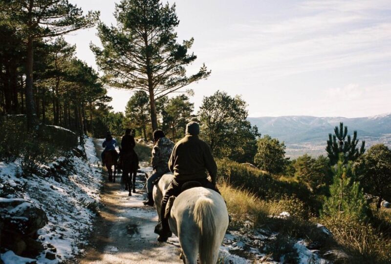 Madrid: Horse Riding in Sierra del Guadarrama National Park - Authentic Experiences and Reviewer Insights