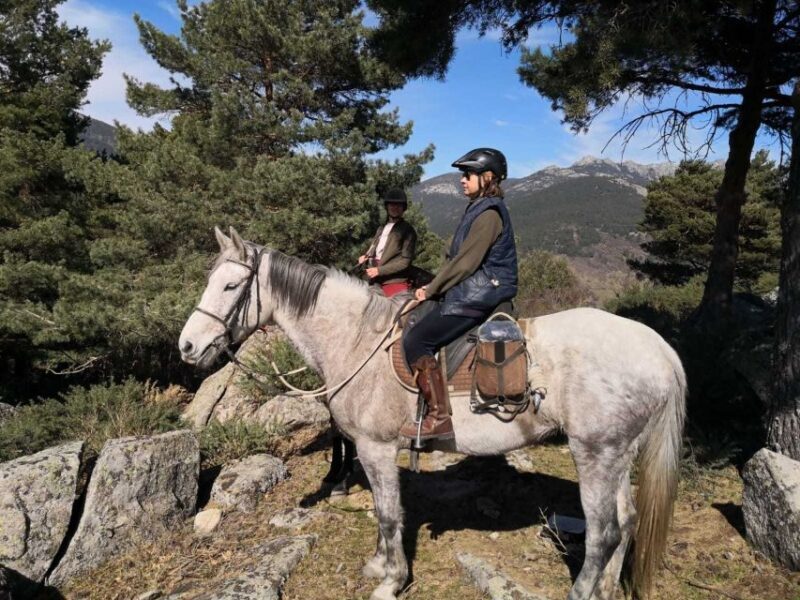 Madrid: Horse Riding in Sierra del Guadarrama National Park - Who Would Love This Experience?