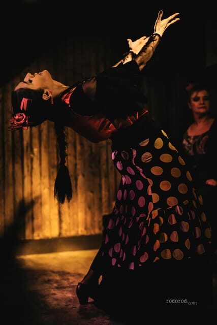 Madrid: Local Flamenco Show at El Cortijo - An In-Depth Look at the Flamenco Night at El Cortijo
