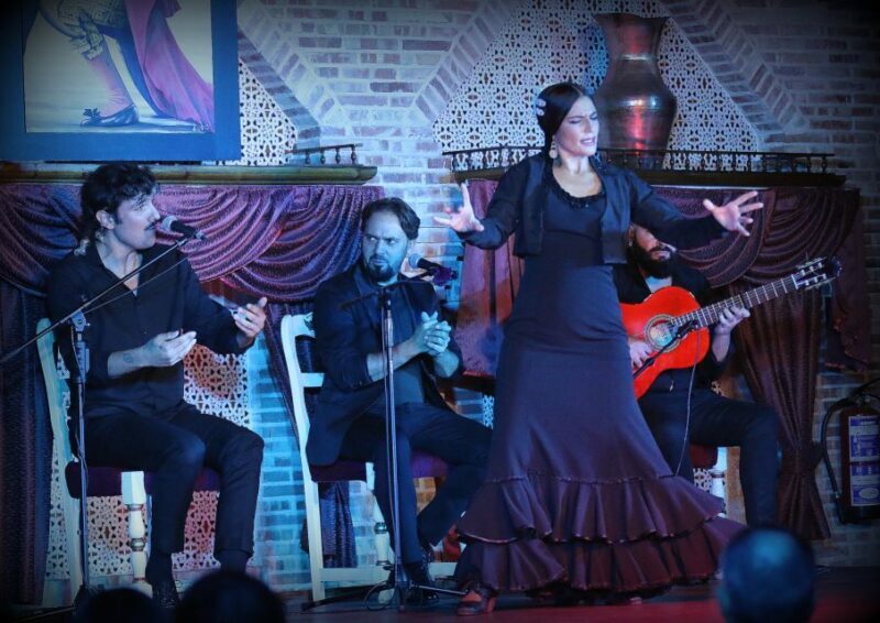 Madrid: Los Porches Flamenco Show with Tapas and Wine Ticket - Who Should Consider This Experience?