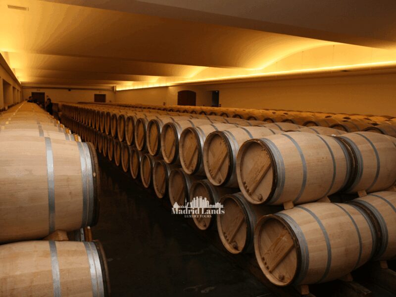 Madrid: Luxury Winery Emilio Moro Tour - Key Points