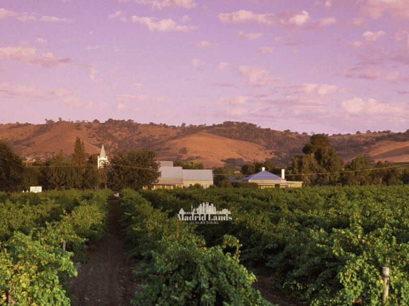 Madrid: Luxury Winery Emilio Moro Tour - An Inside Look at the Luxury Emilio Moro Experience