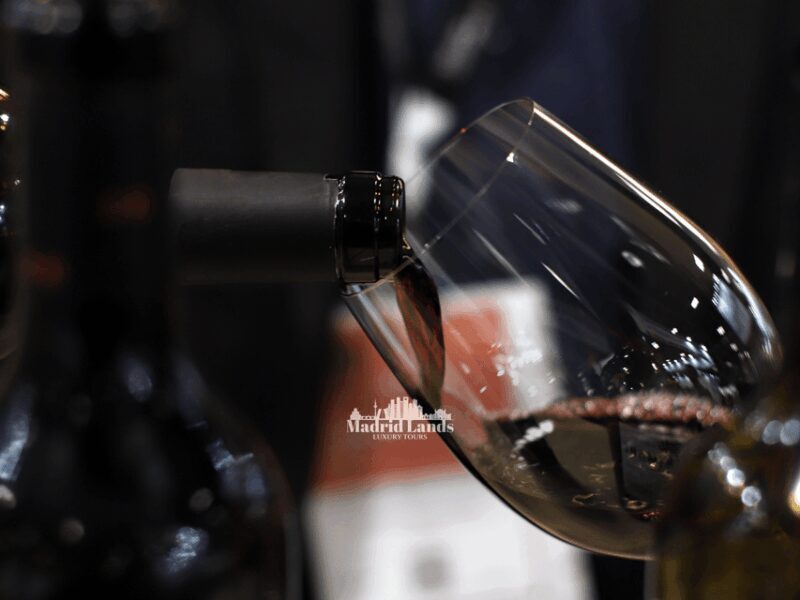 Madrid: Luxury Winery Emilio Moro Tour - Who Should Consider This Tour?