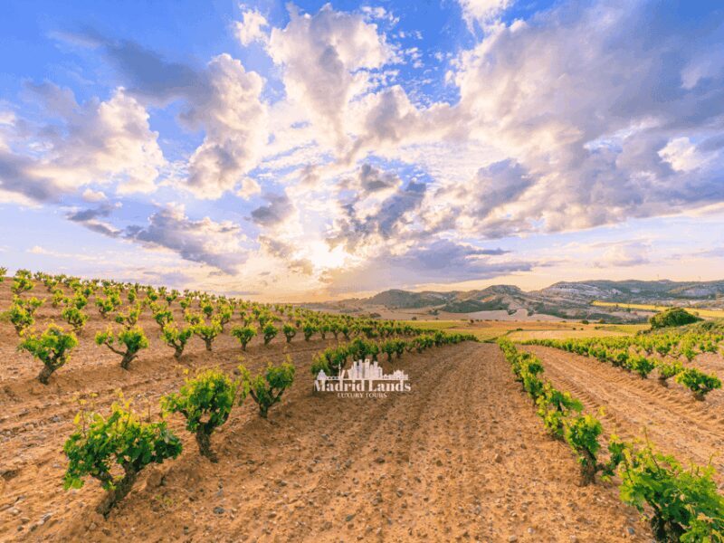 Madrid: Luxury Winner and Ribera del Duero Tour - Why This Tour Offers Great Value