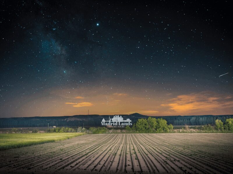 Madrid: Luxury Winner and Ribera del Duero Tour - Transportation and Logistics