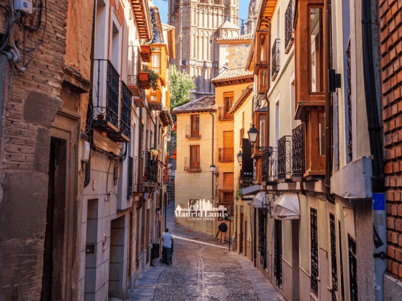 Madrid: Luxury Winnery & Toledo Tour - The Sum Up