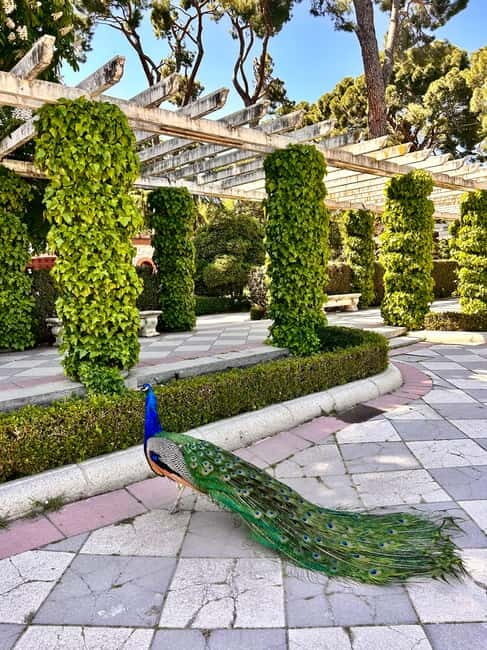 Madrid: Magic Retiro Park Bike Tour - The Sum Up