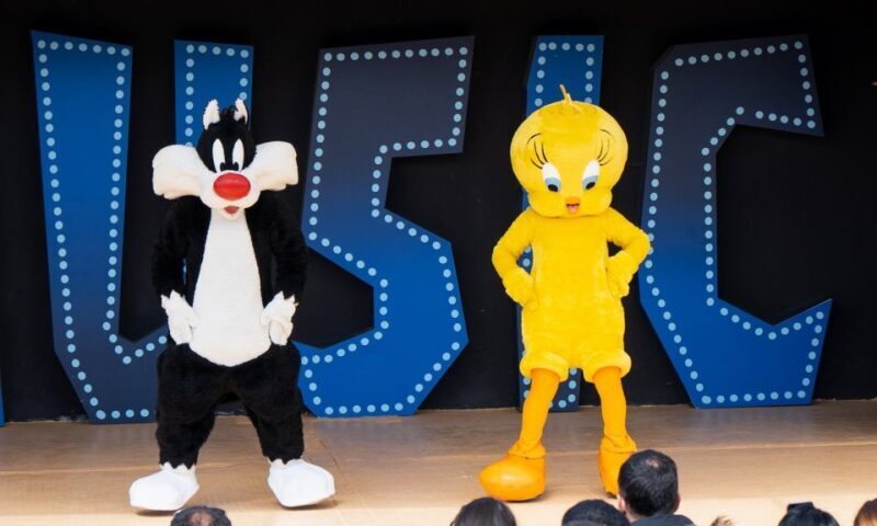 Madrid: Parque Warner Ticket and Roundtrip Transportation - The Overall Experience: Who Will Love It?