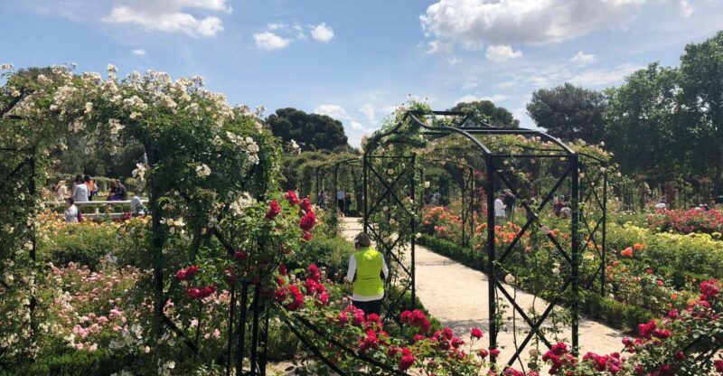 Madrid: Prado Avenue and Retiro Park Guided Walking Tour - Madrid: Prado Avenue and Retiro Park Guided Walking Tour — A Detailed Look