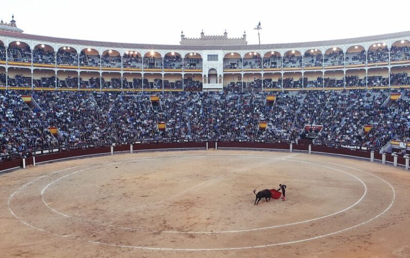 Madrid: Private Walking Tour with a Local - Why This Tour Offers Great Value