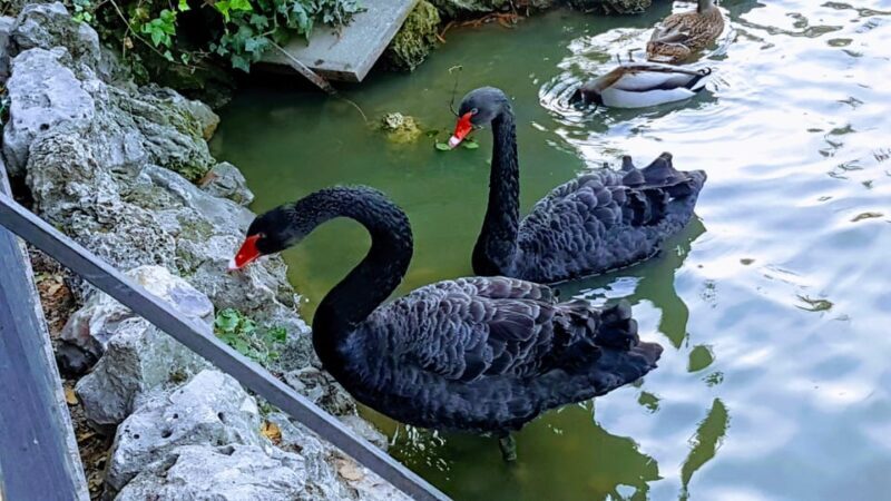 Madrid: Retiro Park Guided Tour with a Photographer - Is This Tour Right for You?