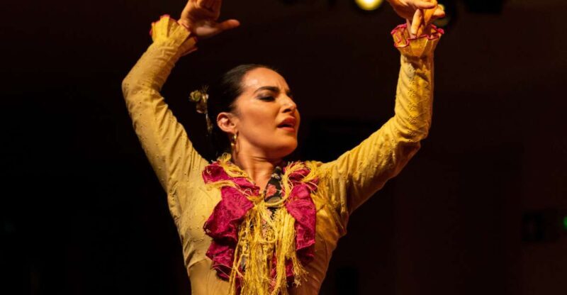Madrid: Tablao de La Villa Flamenco Show - A Close Look at the Flamenco Night