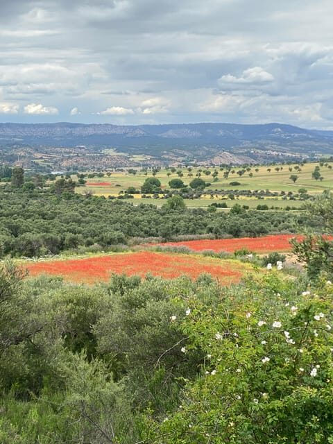 Madrid: Unspoiled Spain for Foodies & Nature s - FAQ