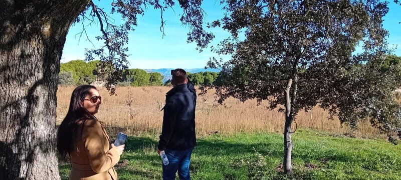 Madrid Wine Tour: Discover Unique Local Wineries & Tastings - A Deep Dive into the Madrid Wine Tour