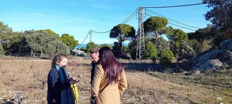 Madrid Winery Tour: Visit & Tasting With Sommelier Guide - Key Points