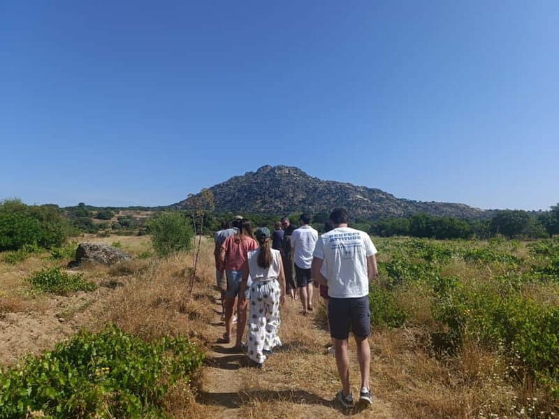 Madrid Winery Tour: Visit & Tasting With Sommelier Guide - The Value of the Experience