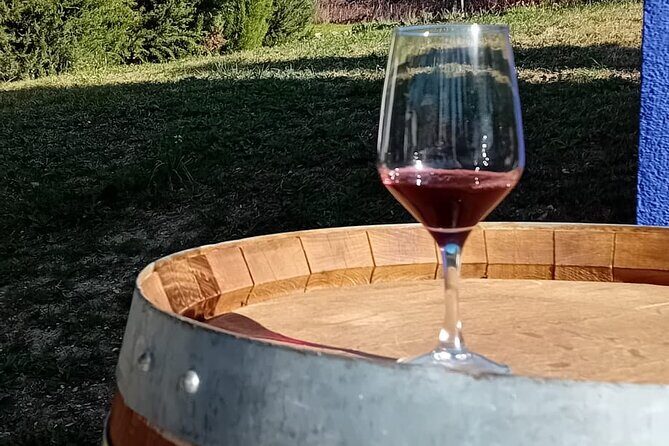 Madrid Winery Tour with Tasting & Sommelier Guide - In-Depth Review of the Madrid Winery Tour