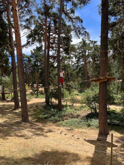 Madrid: Zip line circuits high in the trees - An In-Depth Look at the Experience