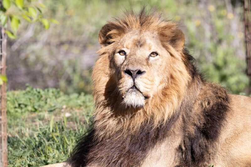 Madrid: Zoo Aquarium Madrid Ticket - Key Points