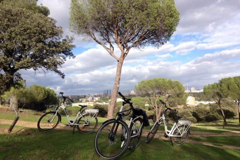 Madrids River Side & Casa de Campo Electric Bike Tour - The Practicalities: What’s Included & Not