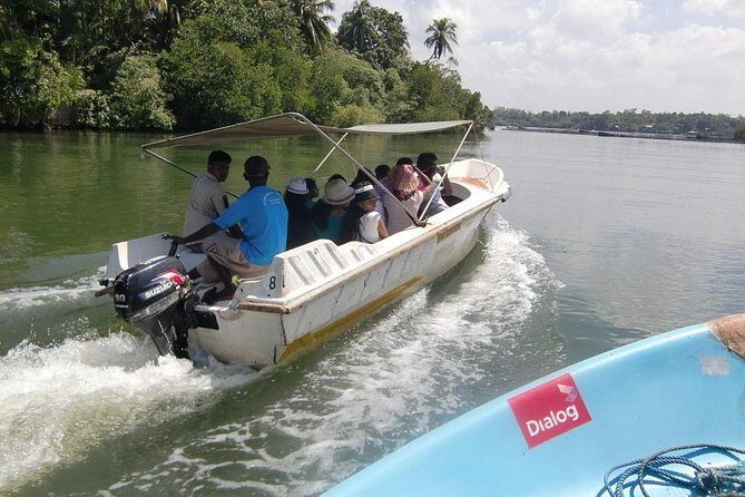 Madu River Boat Safari Balapitiya - An In-Depth Look at the Madu River Boat Safari