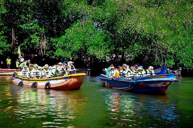 Madu River Boat Safari Balapitiya - Who Will Love This Safari?