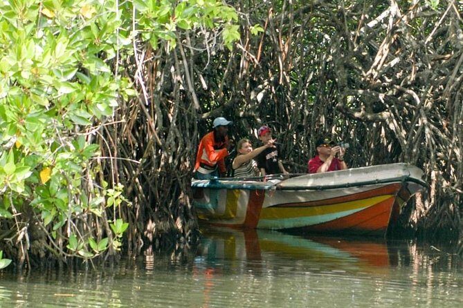 Madu River Safari at Balapitiya - Detailed Review of the Madu River Safari