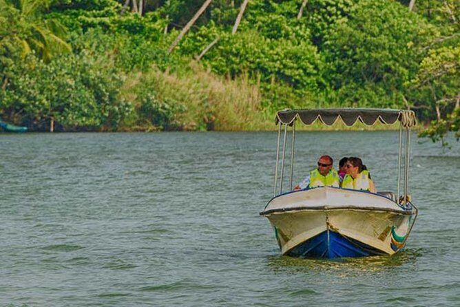 Madu River Safari at Balapitiya - The Bottom Line