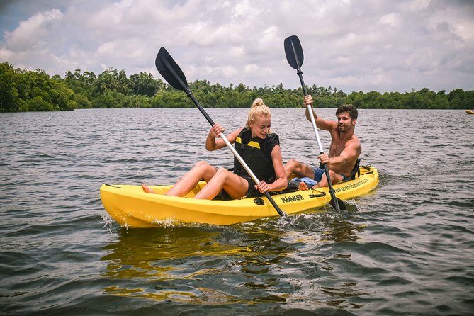 Madu River Sunrise Mangrove Kayaking - An In-Depth Look at the Madu River Sunrise Kayaking Tour