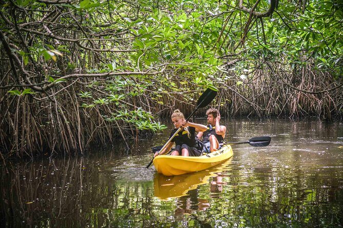 Madu River Sunrise Mangrove Kayaking - What Makes This Tour Stand Out?